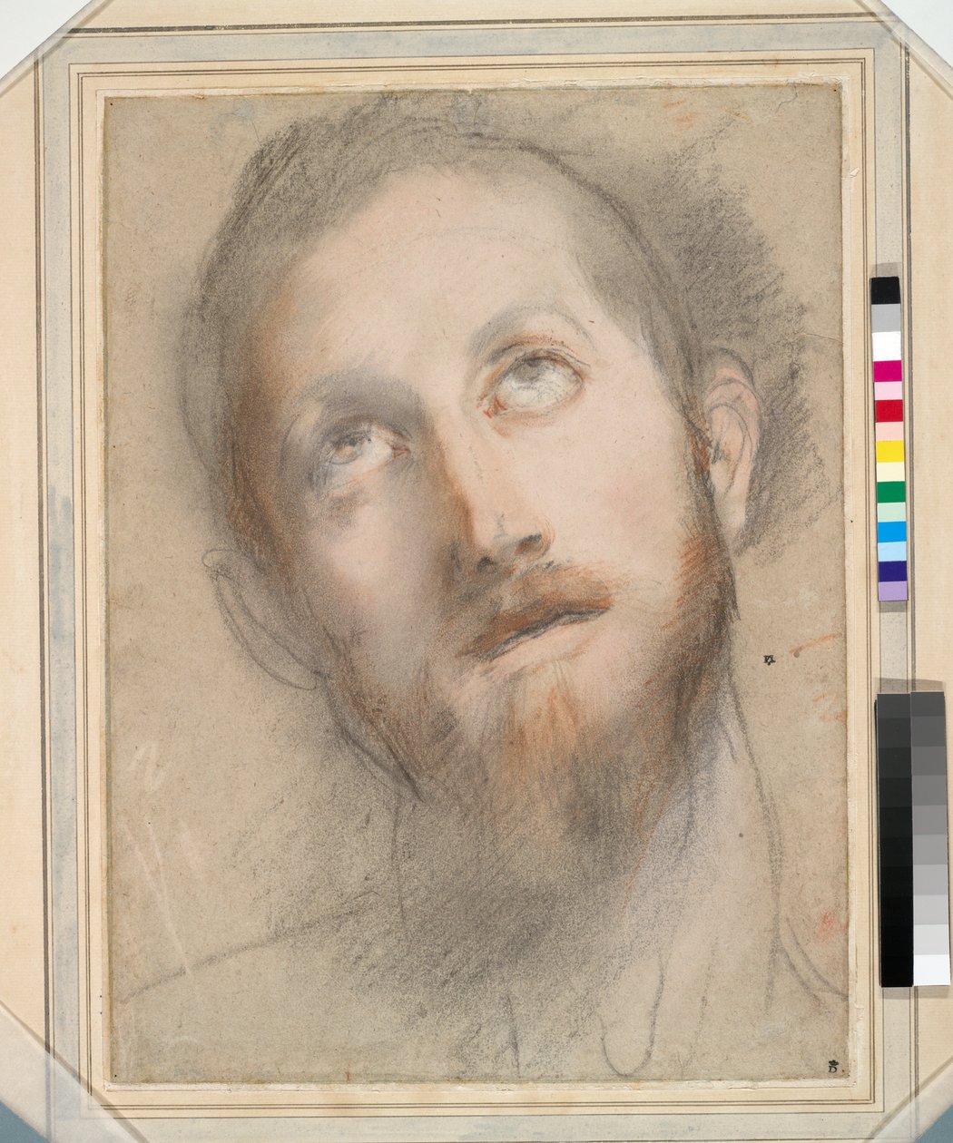 Studie til Kristi Hoved (farvet kridt og pastel på papir) af Federico Fiori Barocci or Baroccio