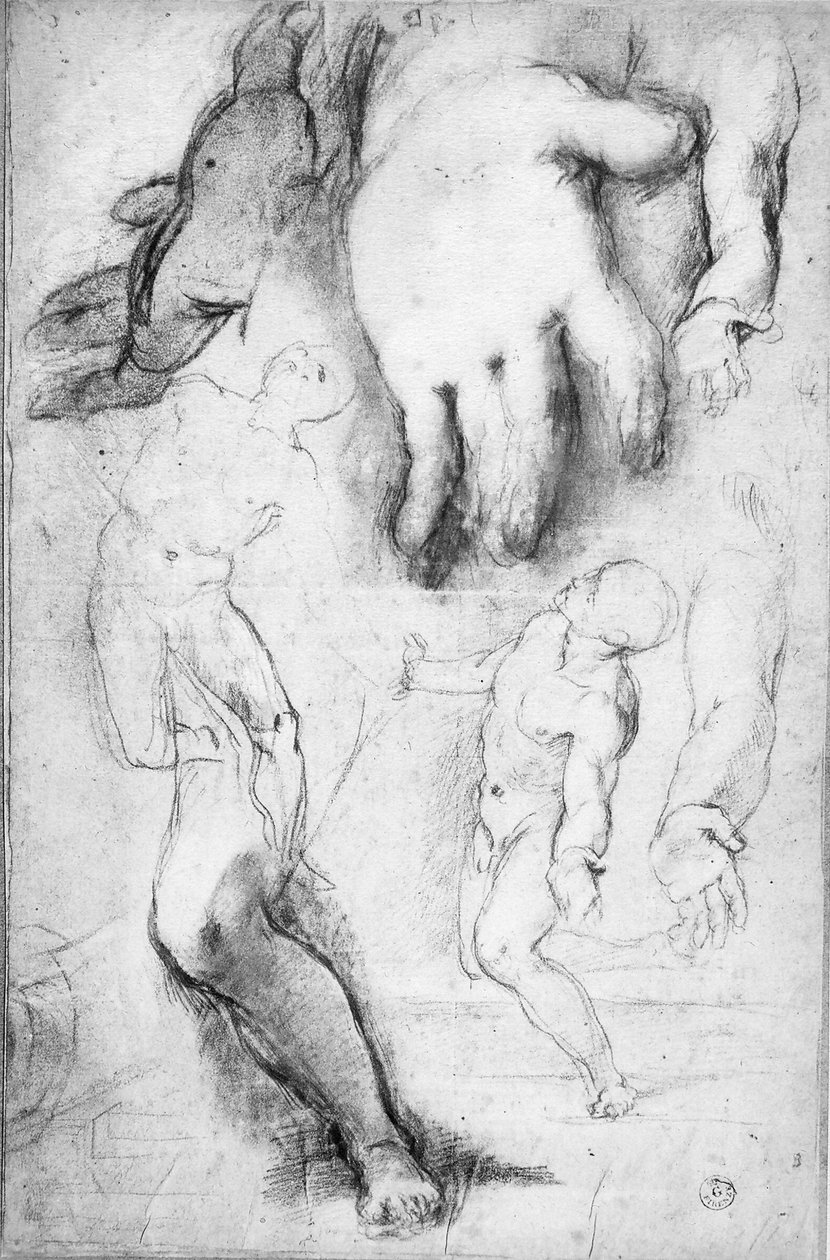 Undersøgelse til Skt. Frans-figuren (kridt på papir) af Federico Fiori Barocci or Baroccio