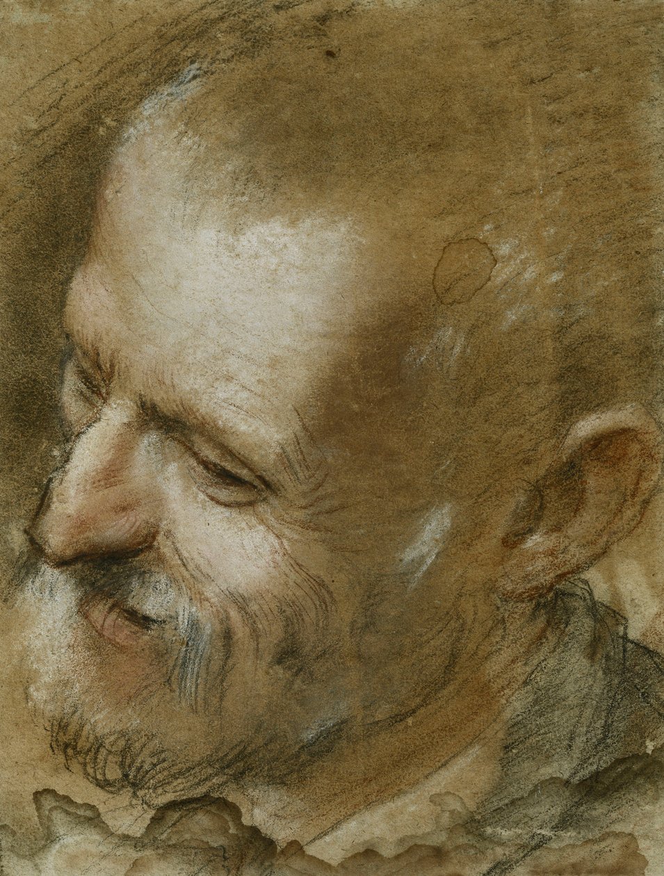 Studie af hovedet af en skægget mand vendt til venstre, 1590 af Federico Fiori Barocci or Baroccio