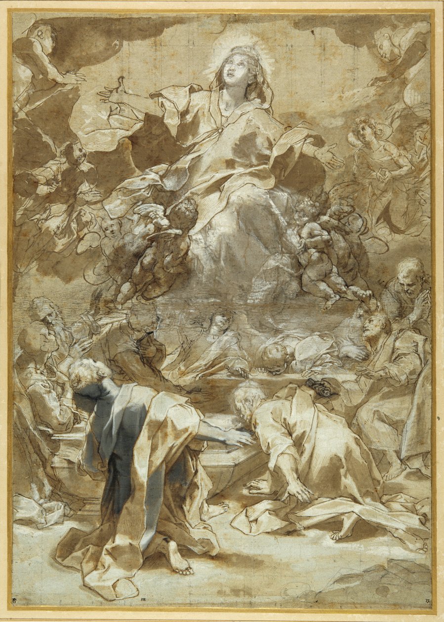 Jomfruens overtagelse (pen og brun blæk med brune og grå overstregninger) af Federico Fiori Barocci or Baroccio