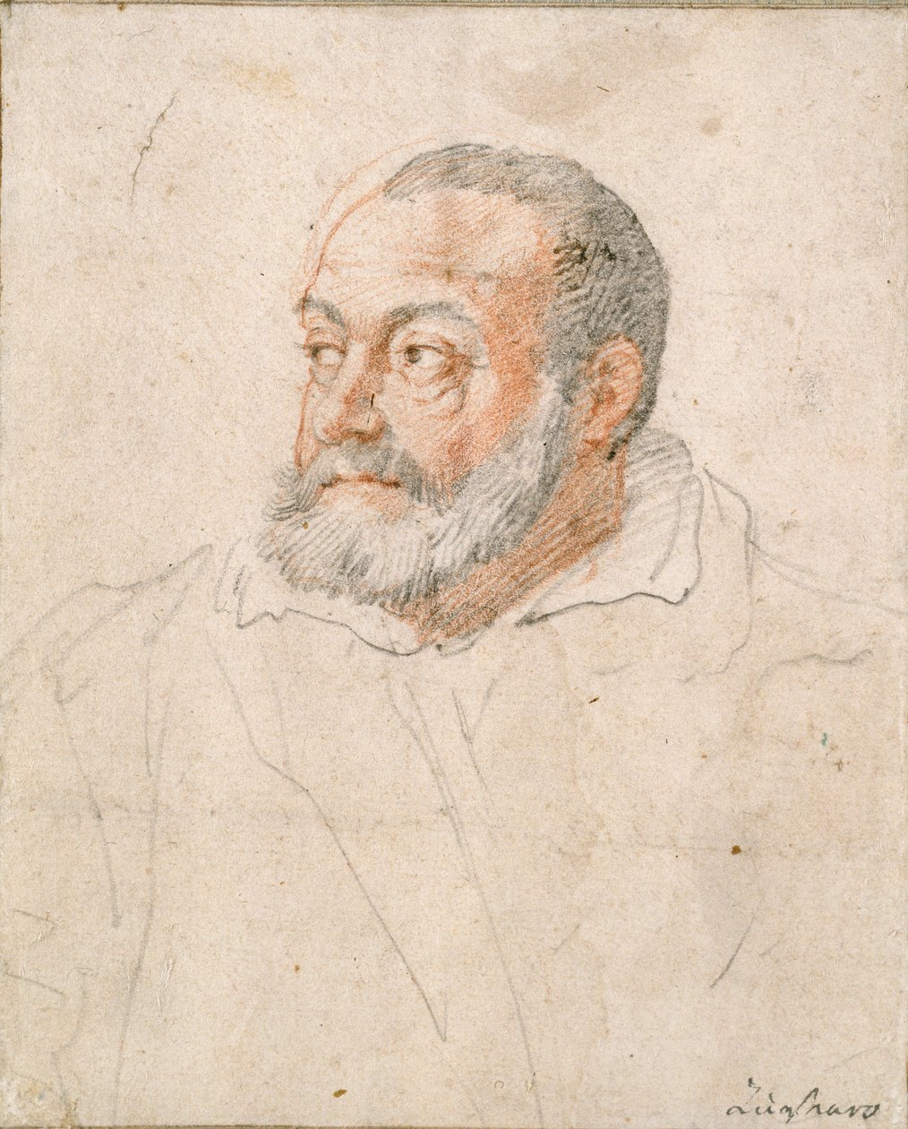 Portræt af en mand, Barozzi da Vignola, 1500-tallet af Federico Zuccaro