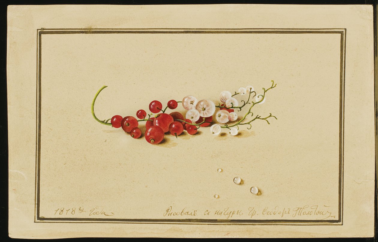 Røde og hvide ribs, 1818 af Fedor Petrovich Tolstoy