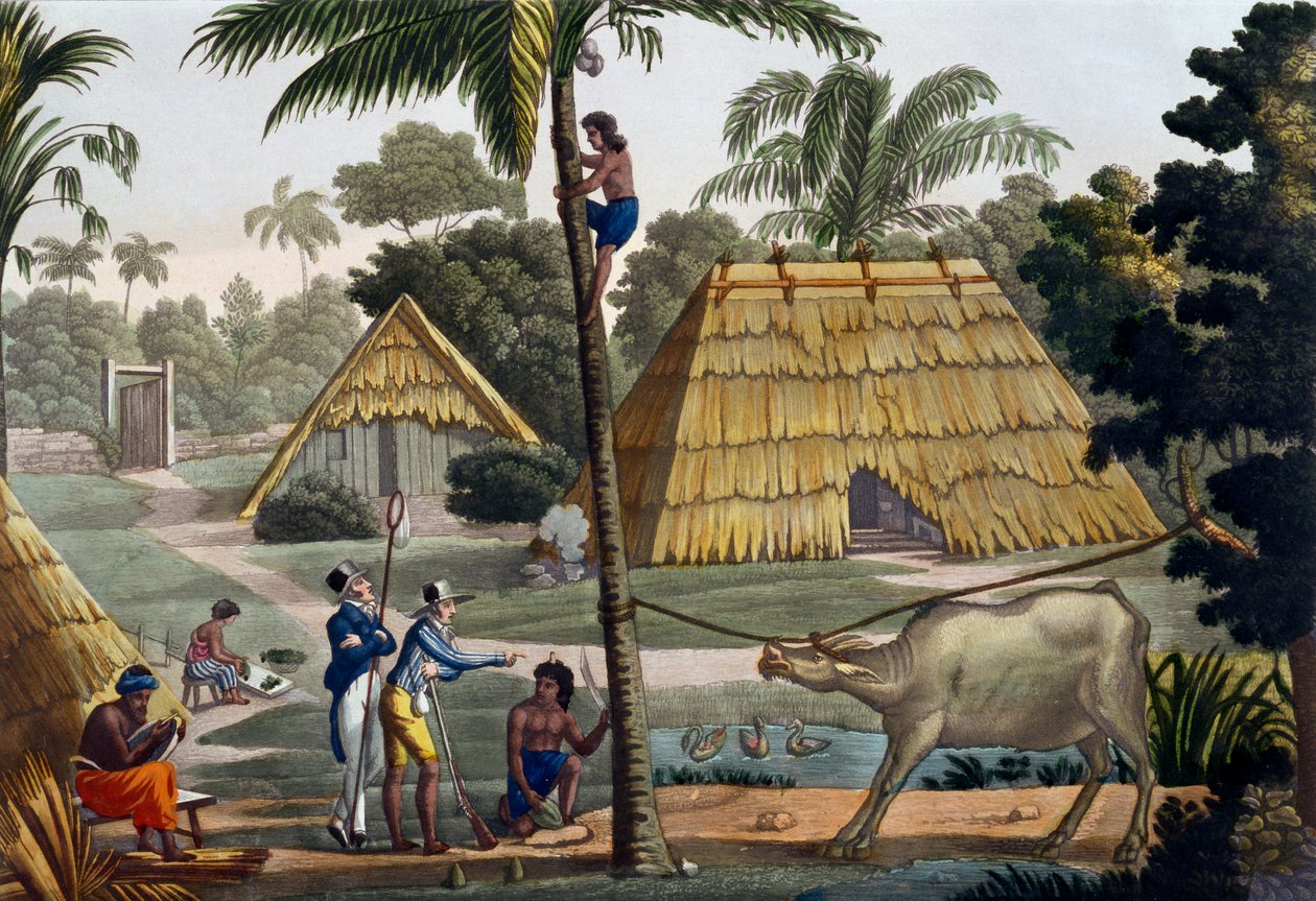 Naturforskere udspørger indfødte nær Kupang, Timor, planche 7 fra "Le Costume Ancien et Moderne" af Jules Ferrario, udgivet omkring 1820-30