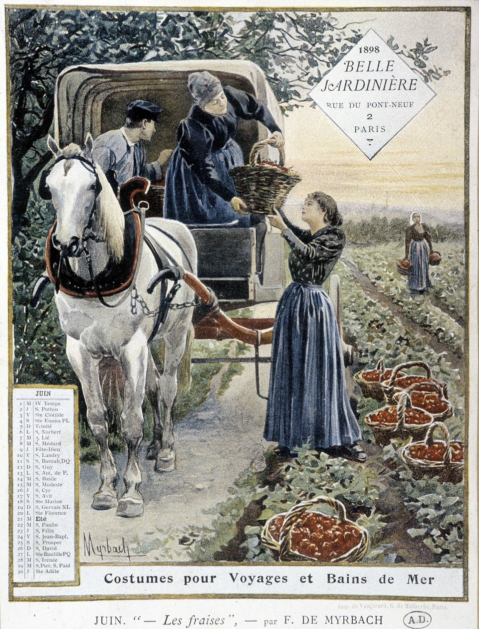 Jordbærplukning - af Myrbach, Kalender 