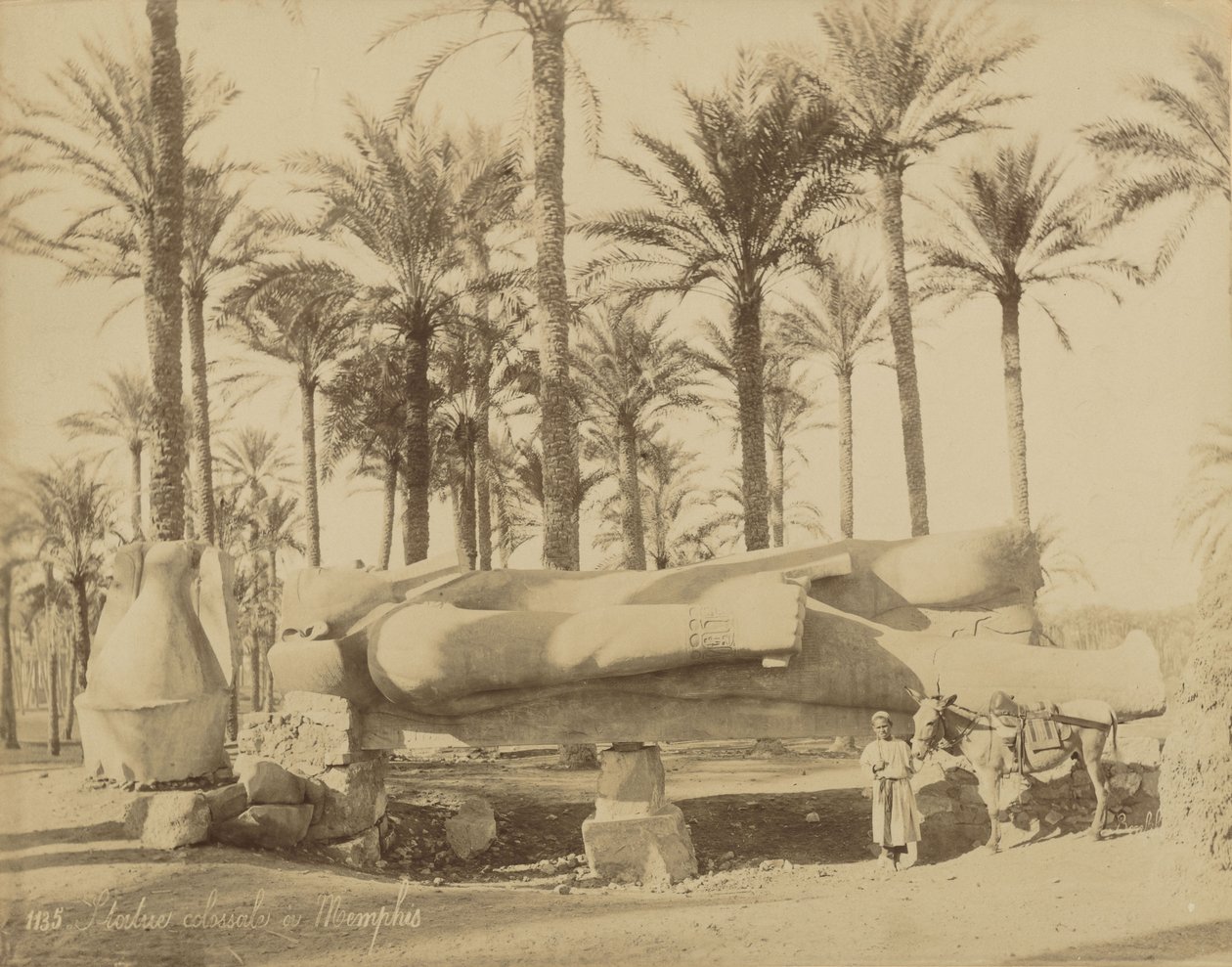 Kolossal klassisk statue i Memphis (Senwosret III) af Félix Bonfils