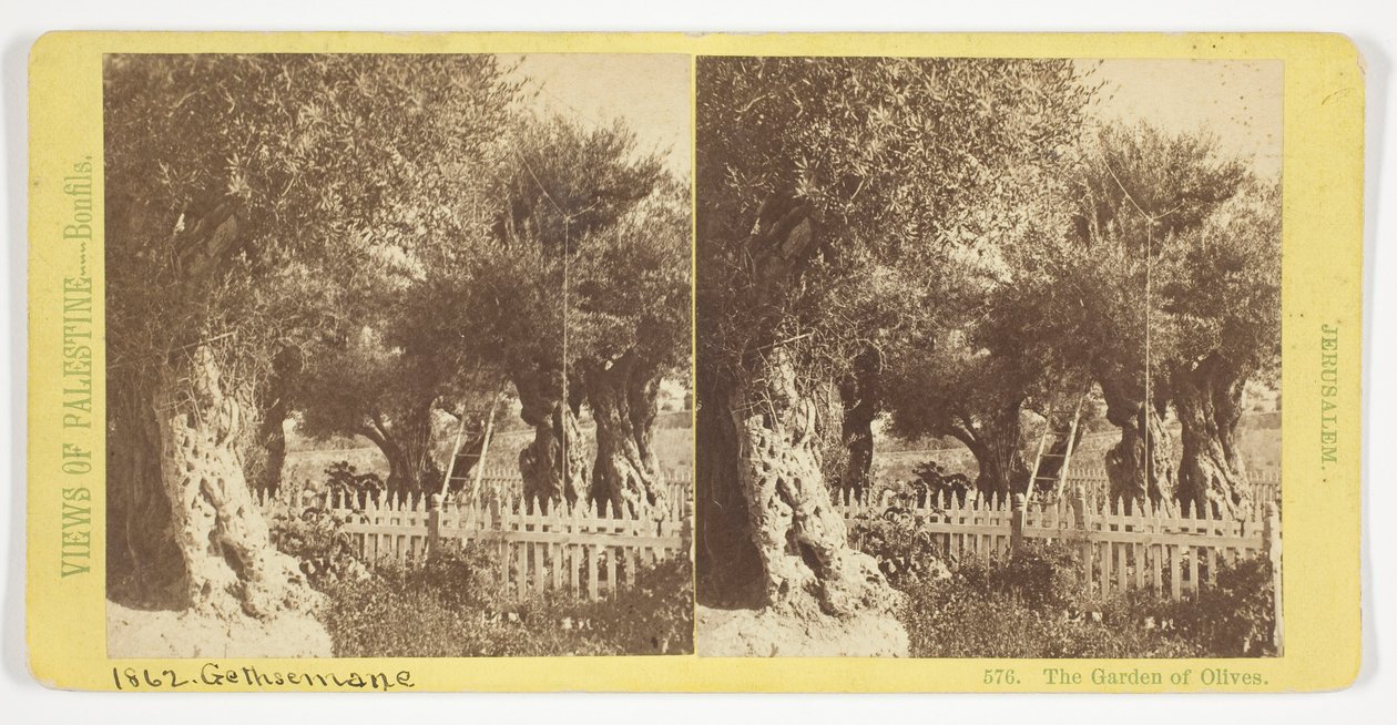 Der Garten der Oliven, Jerusalem, Nr. 576 aus der Serie "Ansichten von Palästina" af Félix Bonfils