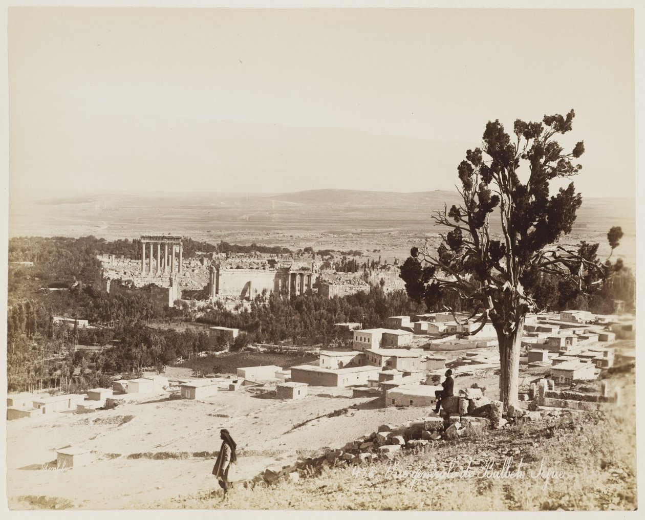 Oversigt over Baalbek, Syrien #438 af Félix Bonfils