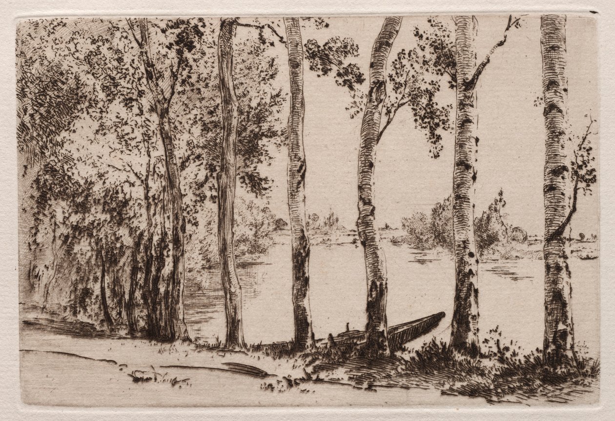 Aspens på Seinebredden. af Felix Bracquemond