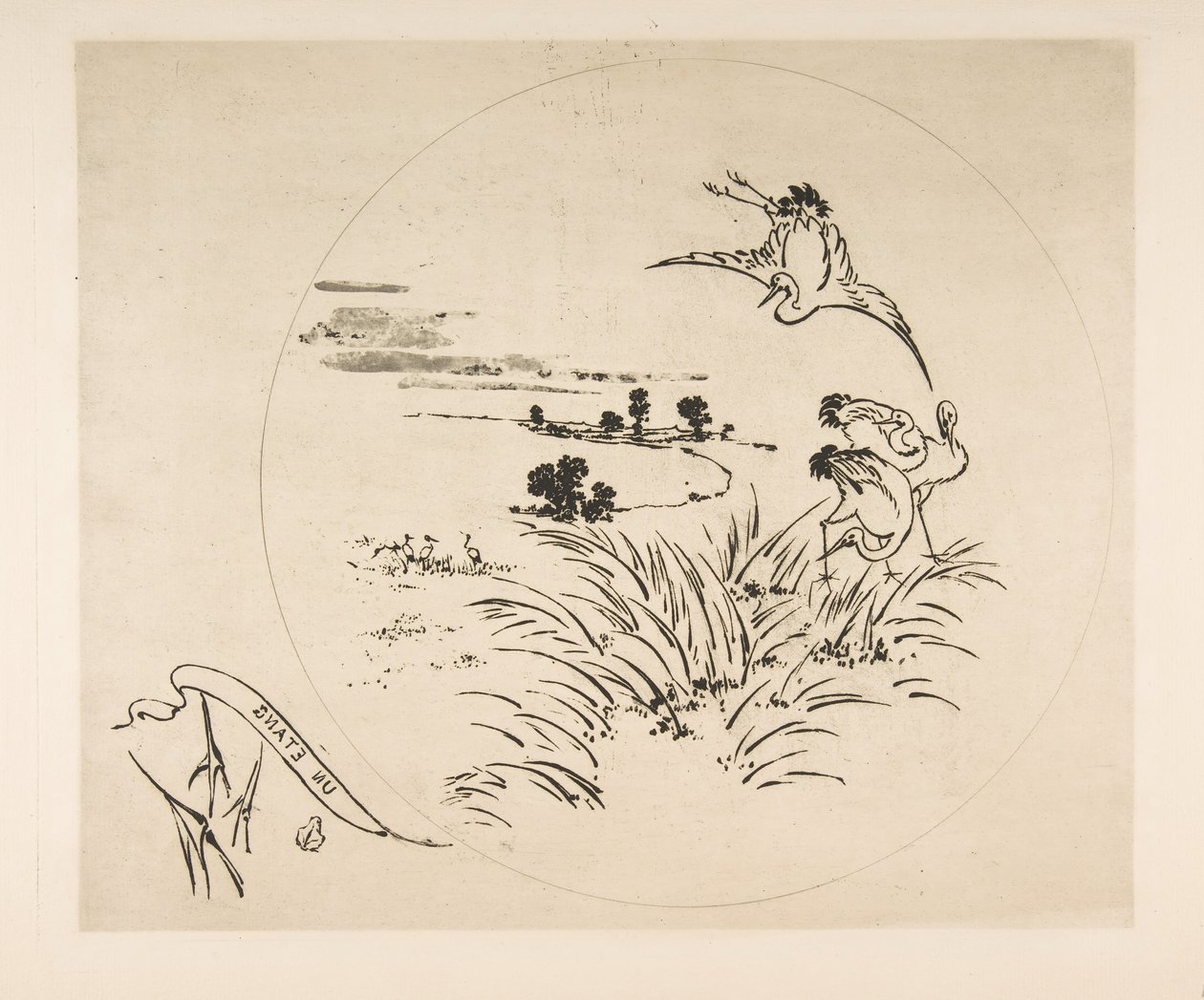 Dekoration til en tallerken: A Pond, 1870. af Felix Bracquemond