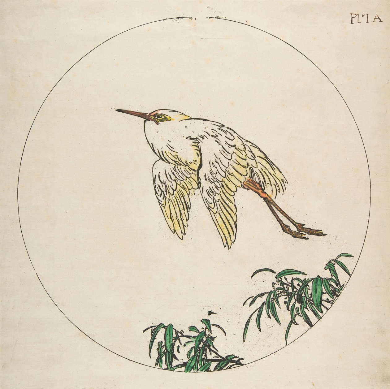 Dekoration til en tallerken: En hejre, der flyver over bambusgrene, 1850-1914. af Felix Bracquemond