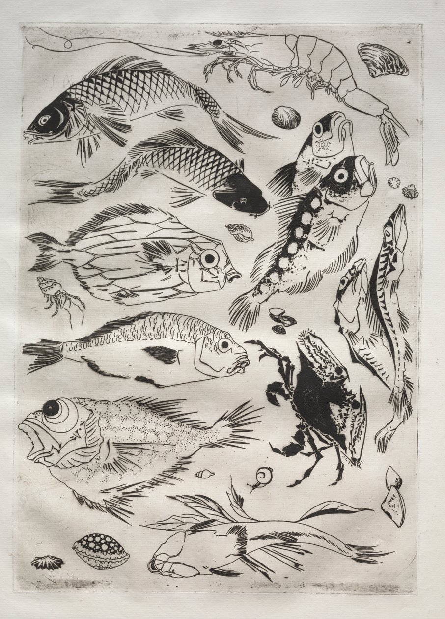 Middagsservice (Rousseau-service): Fisk (nr. 24) af Felix Bracquemond