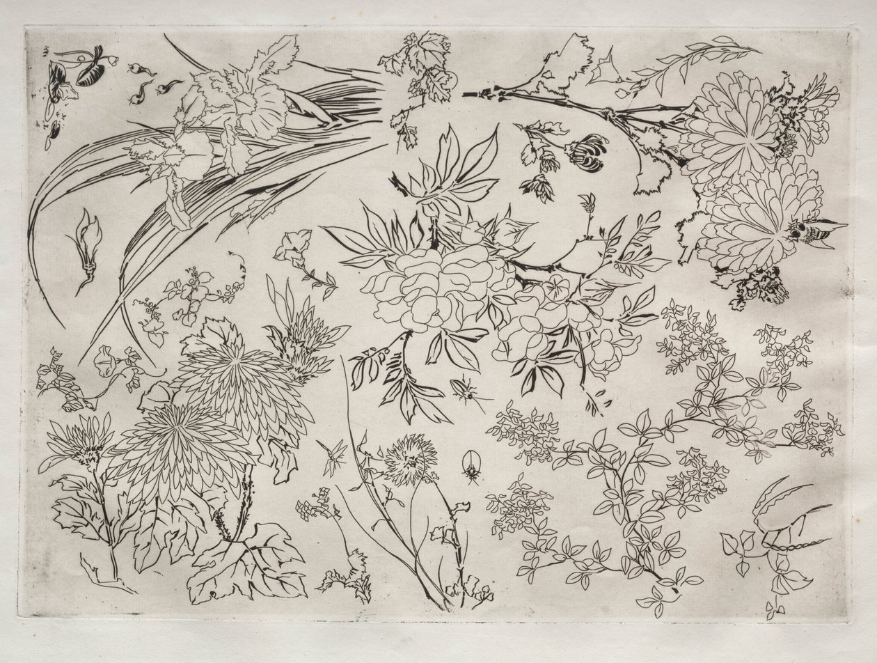 Middagsservice (Rousseau-service): Blomster (nr. 23) af Felix Bracquemond