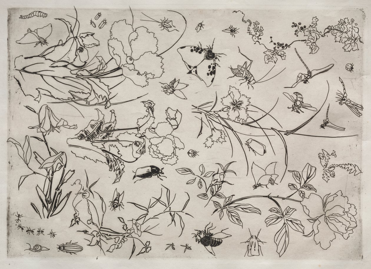 Middagsservice (Rousseau-service): Blomster og insekter (nr. 15) af Felix Bracquemond