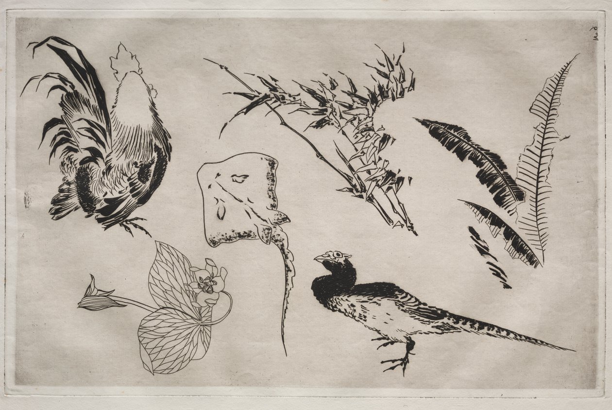 Middagsservice (Rousseau-service): Haner, skøjter, planter osv. (nr. 9) af Felix Bracquemond