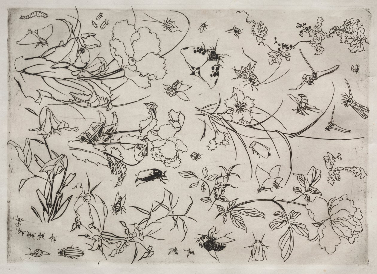Middagsservice Rousseau-service: Blomster og insekter nr. 15, 1866. af Felix Bracquemond