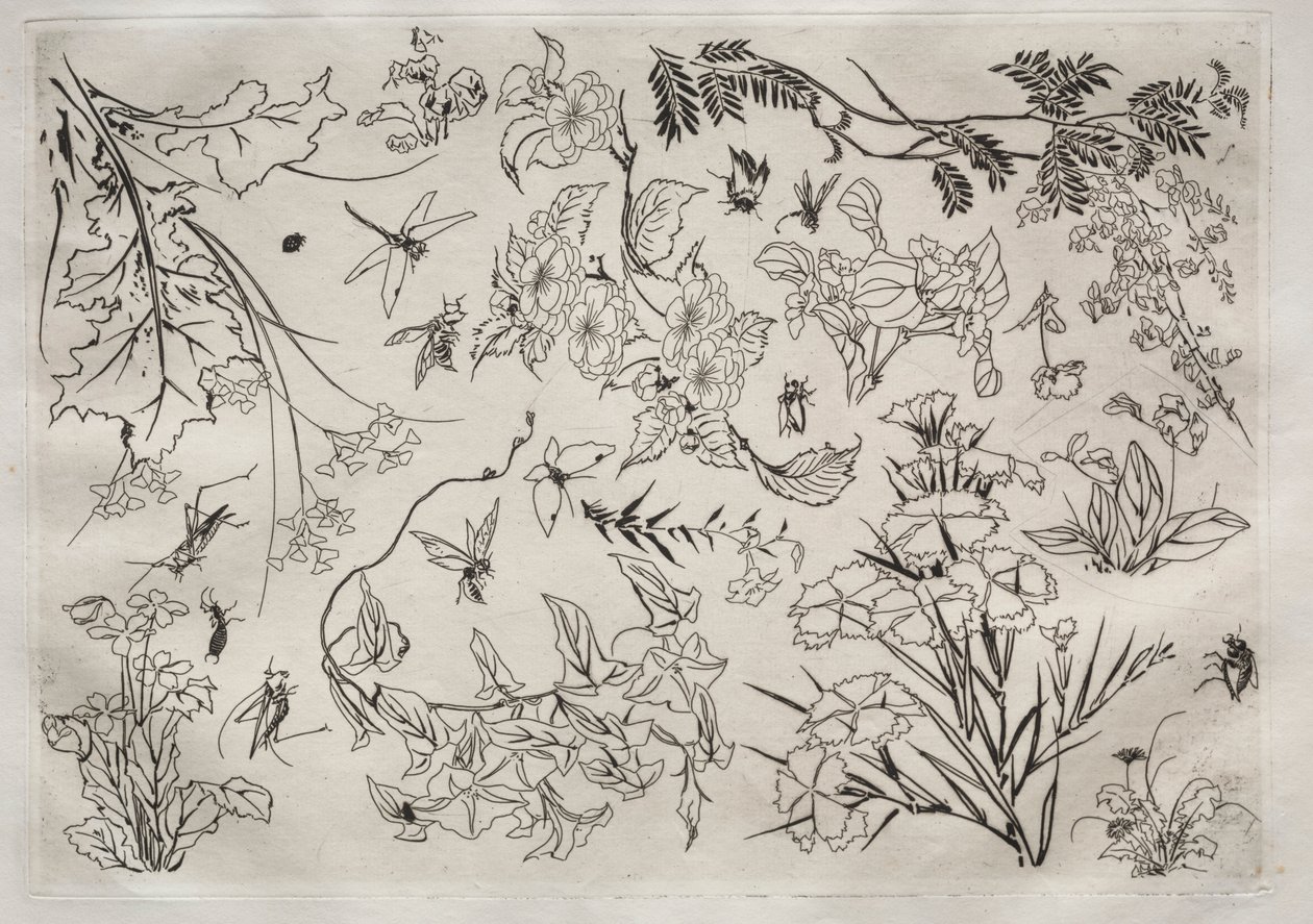 Middagsservice Rousseau-service: Blomster nr. 22, 1866. af Felix Bracquemond