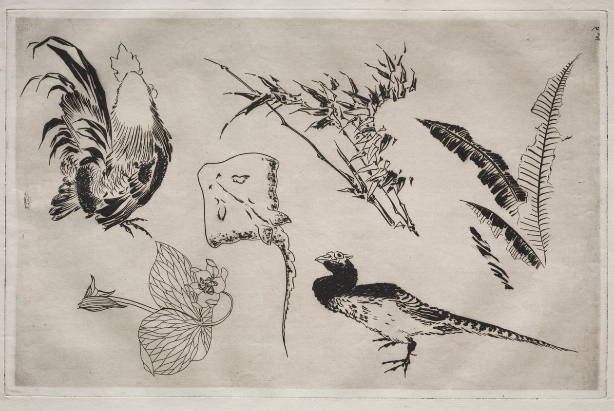 Middagsservice Rousseau-service: Haner, skøjter, planter mv. 9, 1866. af Felix Bracquemond