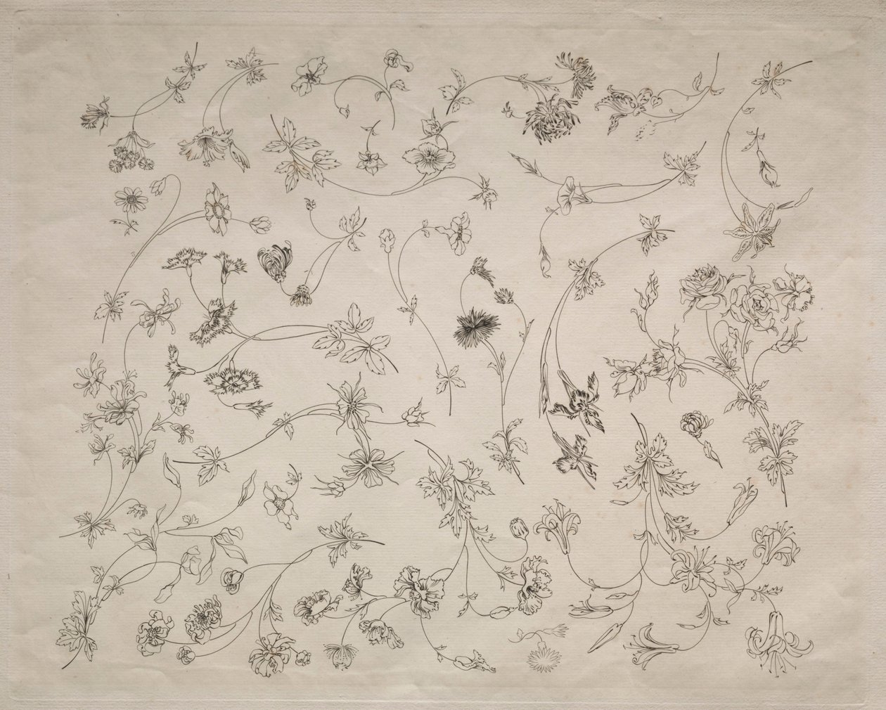 Blomstermotiver til tallerkener og borter (nr. 14) af Felix Bracquemond