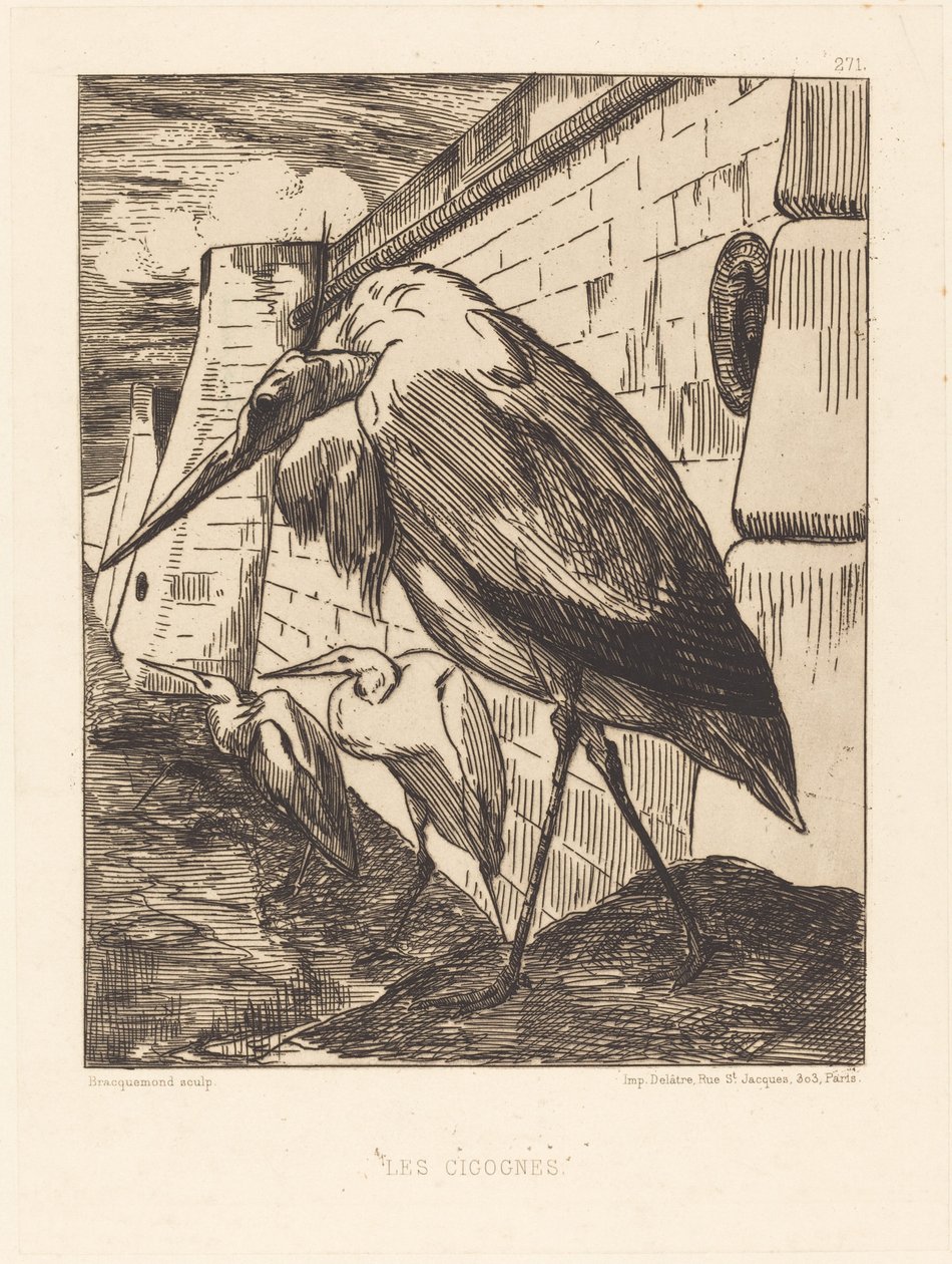 Les Cigognes (Storkene) af Felix Bracquemond