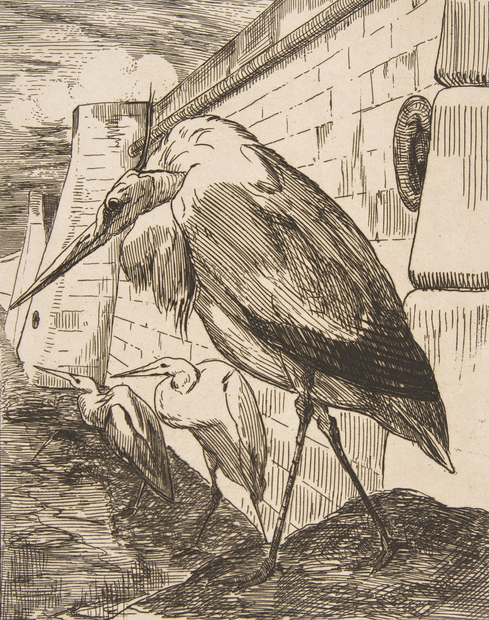Storkene, 1870