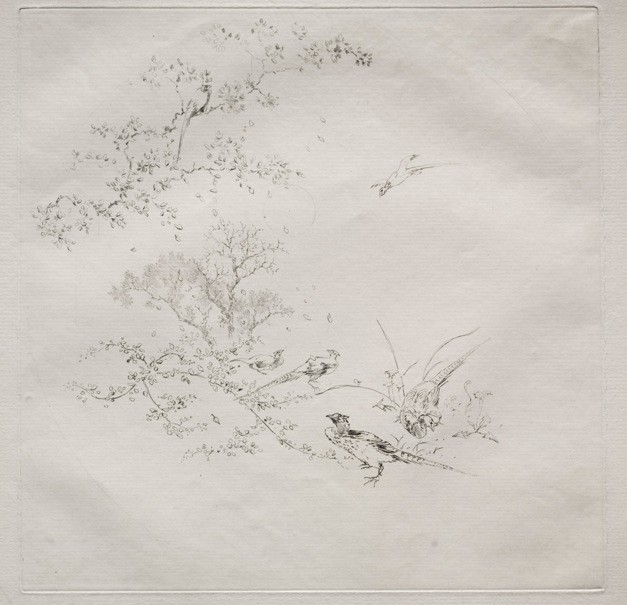 Parisian Service Haviland service: Tåge nr. 1, 1875. af Felix Bracquemond