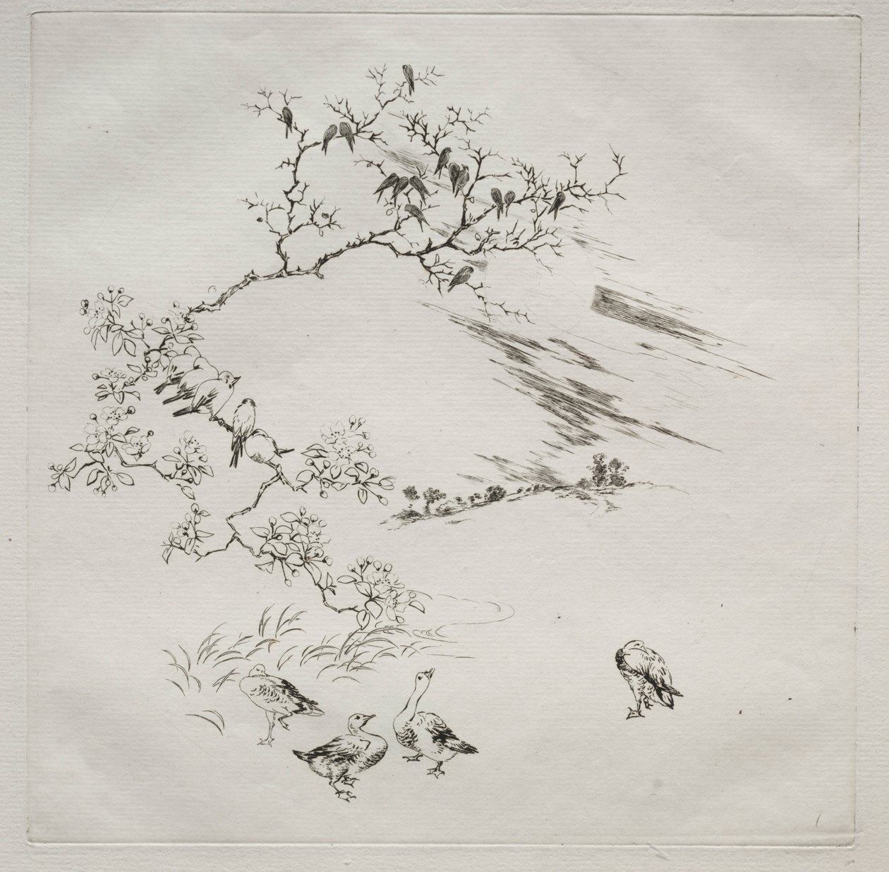 Parisertjeneste Haviland-tjeneste: Nat nr. 7, 1875. af Felix Bracquemond