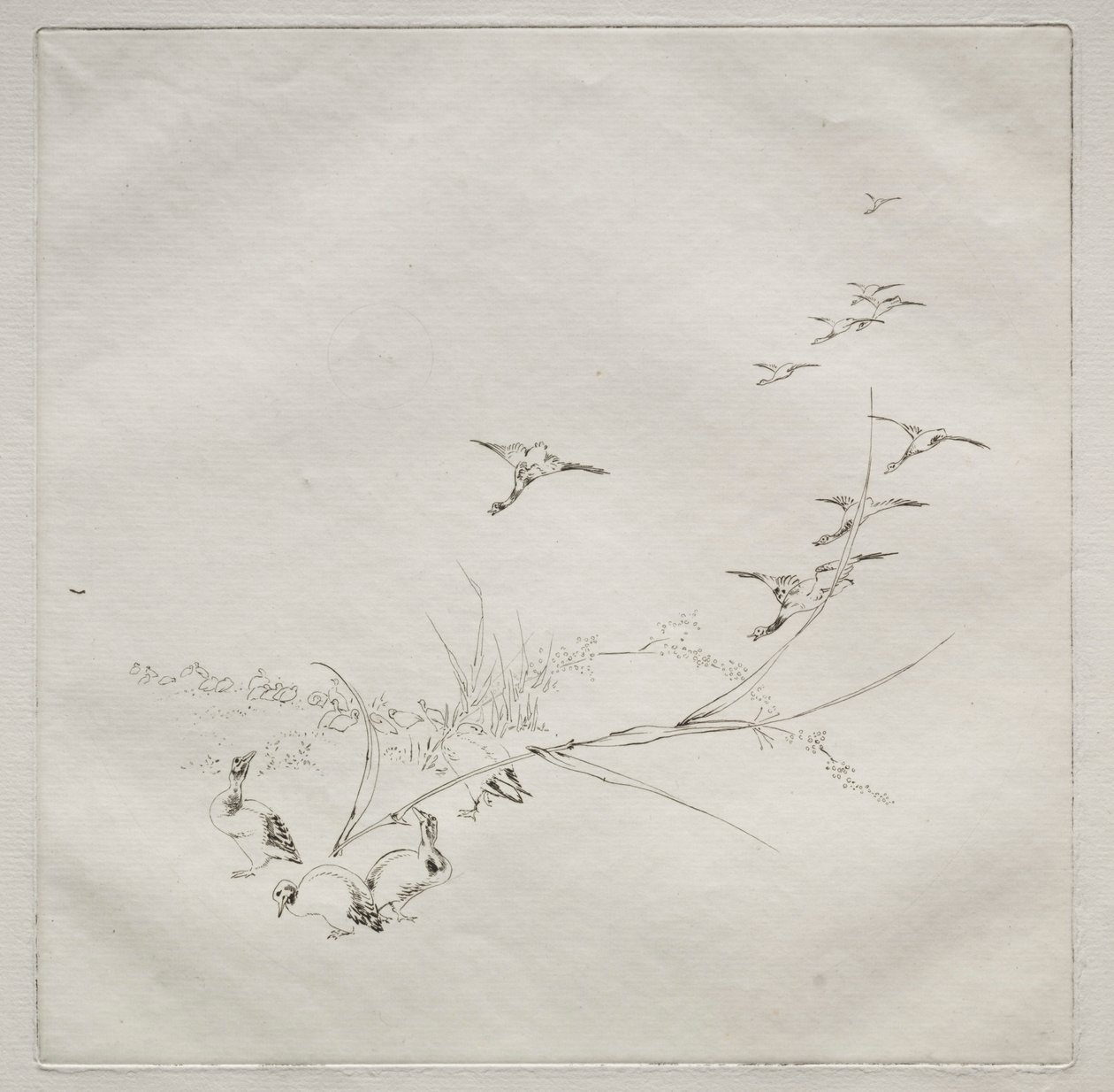 Parisian Service Haviland service: Lige i solen no. 9, 1875. af Felix Bracquemond