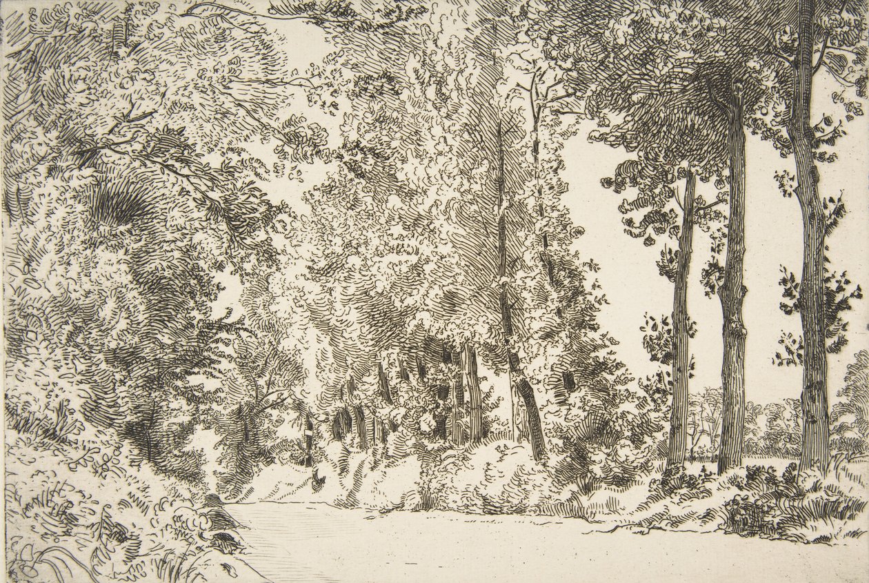 Rue des Bruyères, i Sèvres, 1868. af Felix Bracquemond