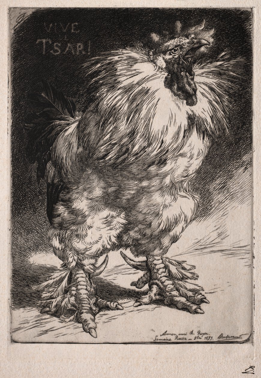 Den franske hane af Felix Bracquemond