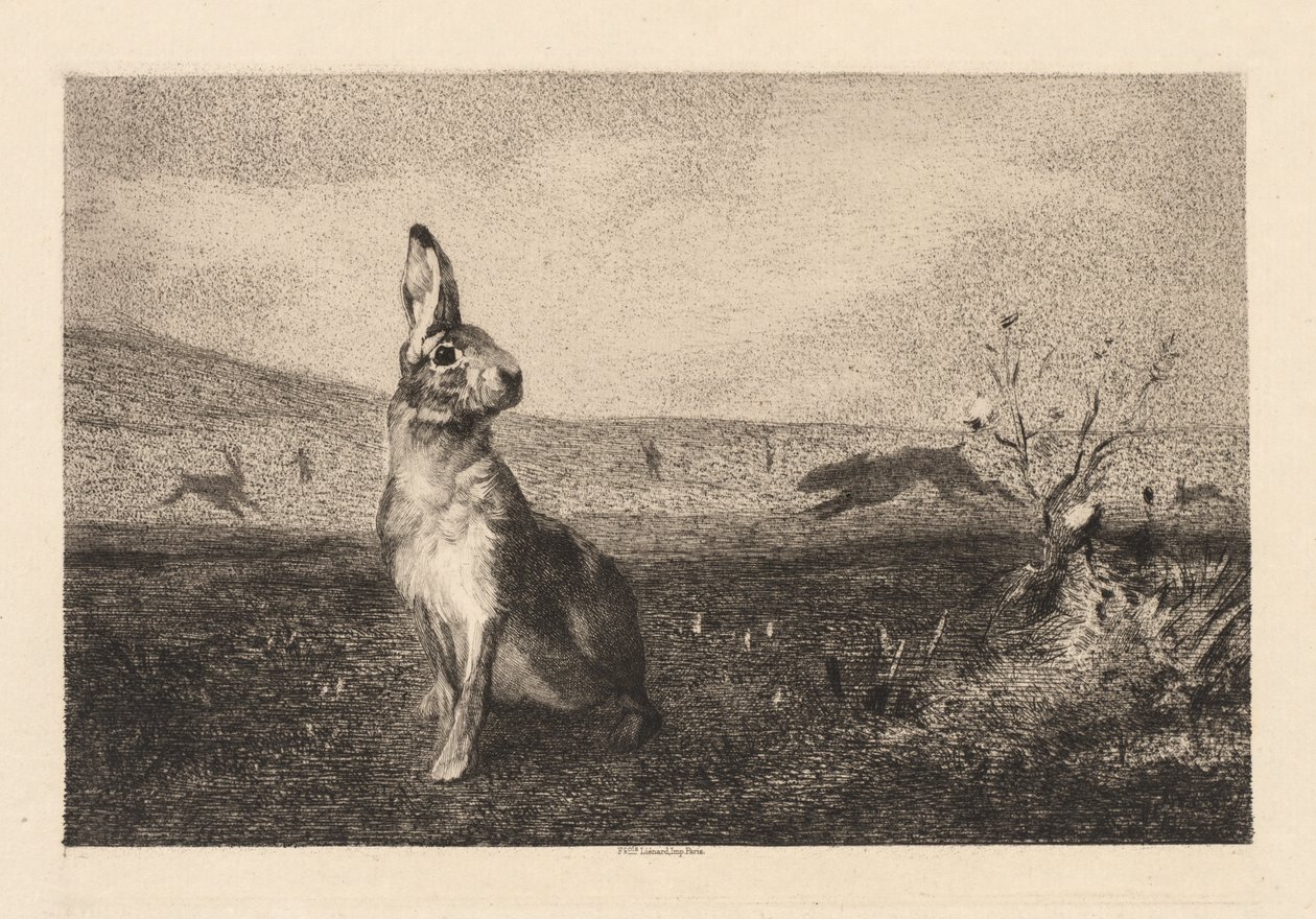 Haren af Felix Bracquemond