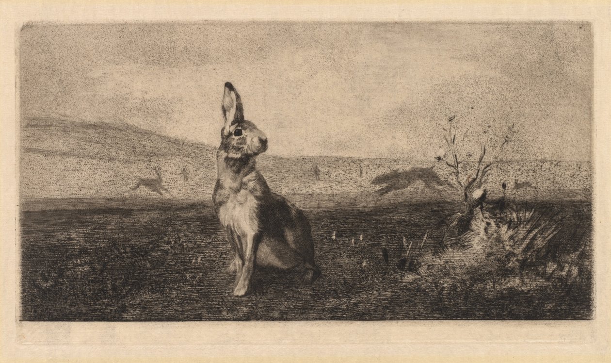 Haren Le Hare, 1865. af Felix Bracquemond