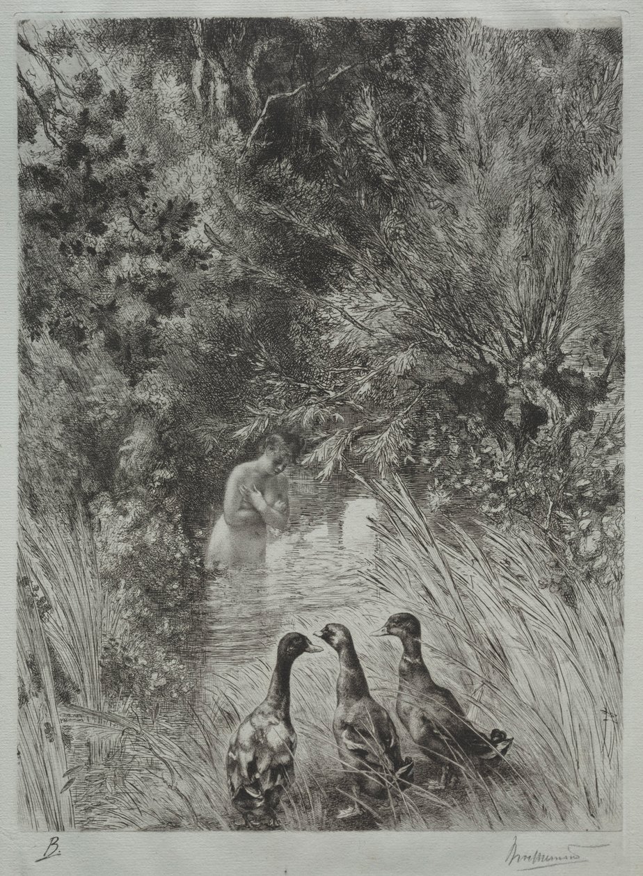 De overraskede ænder. af Felix Bracquemond