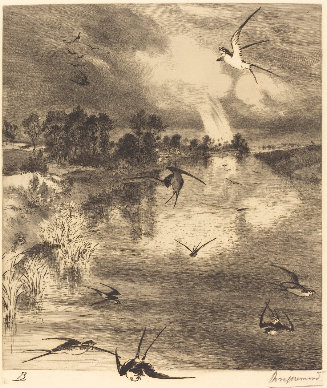 Svalerne af Felix Bracquemond