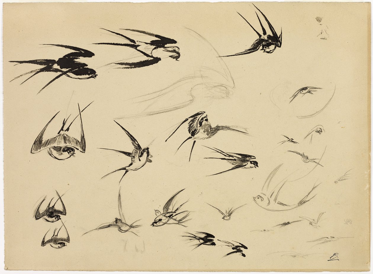 The Swallows, ca. 1881 (pen, pensel, blæk, kridt, farveblyant og grafit på papir) af Felix Bracquemond