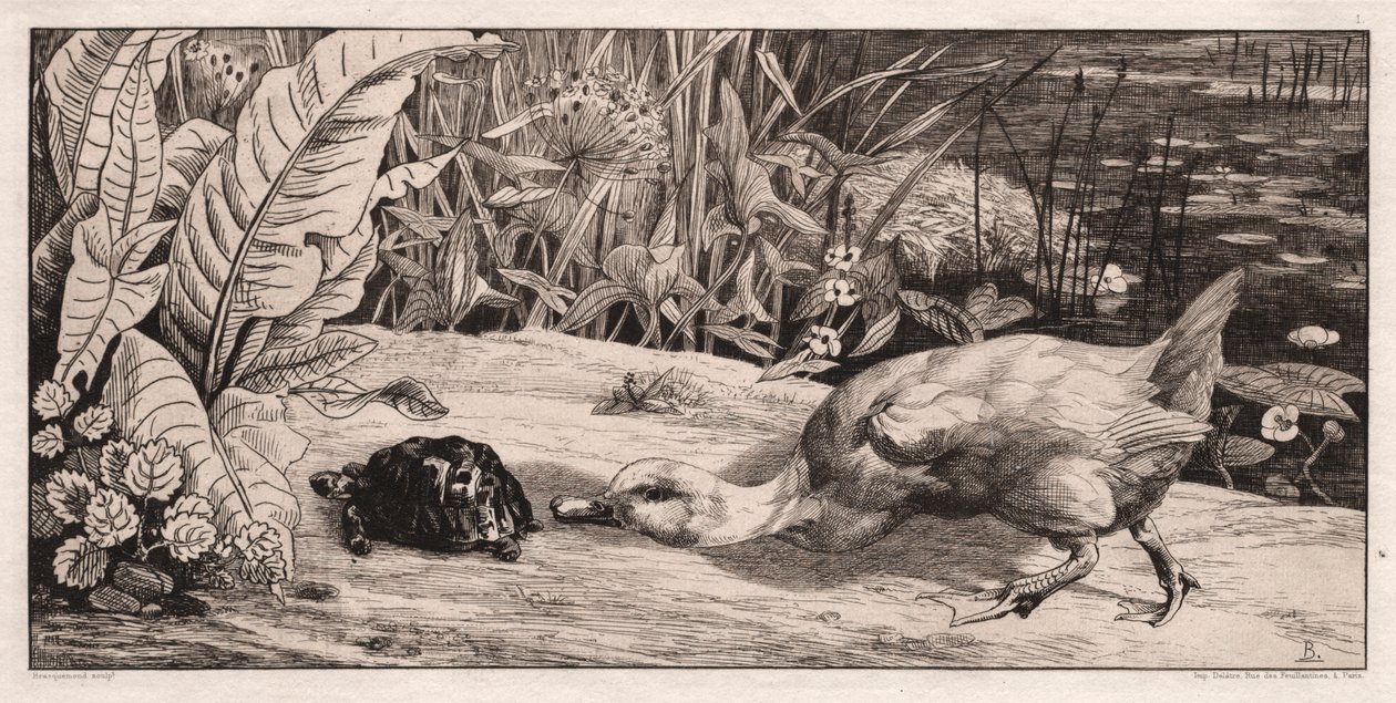 Det ukendte, 1862. af Felix Bracquemond