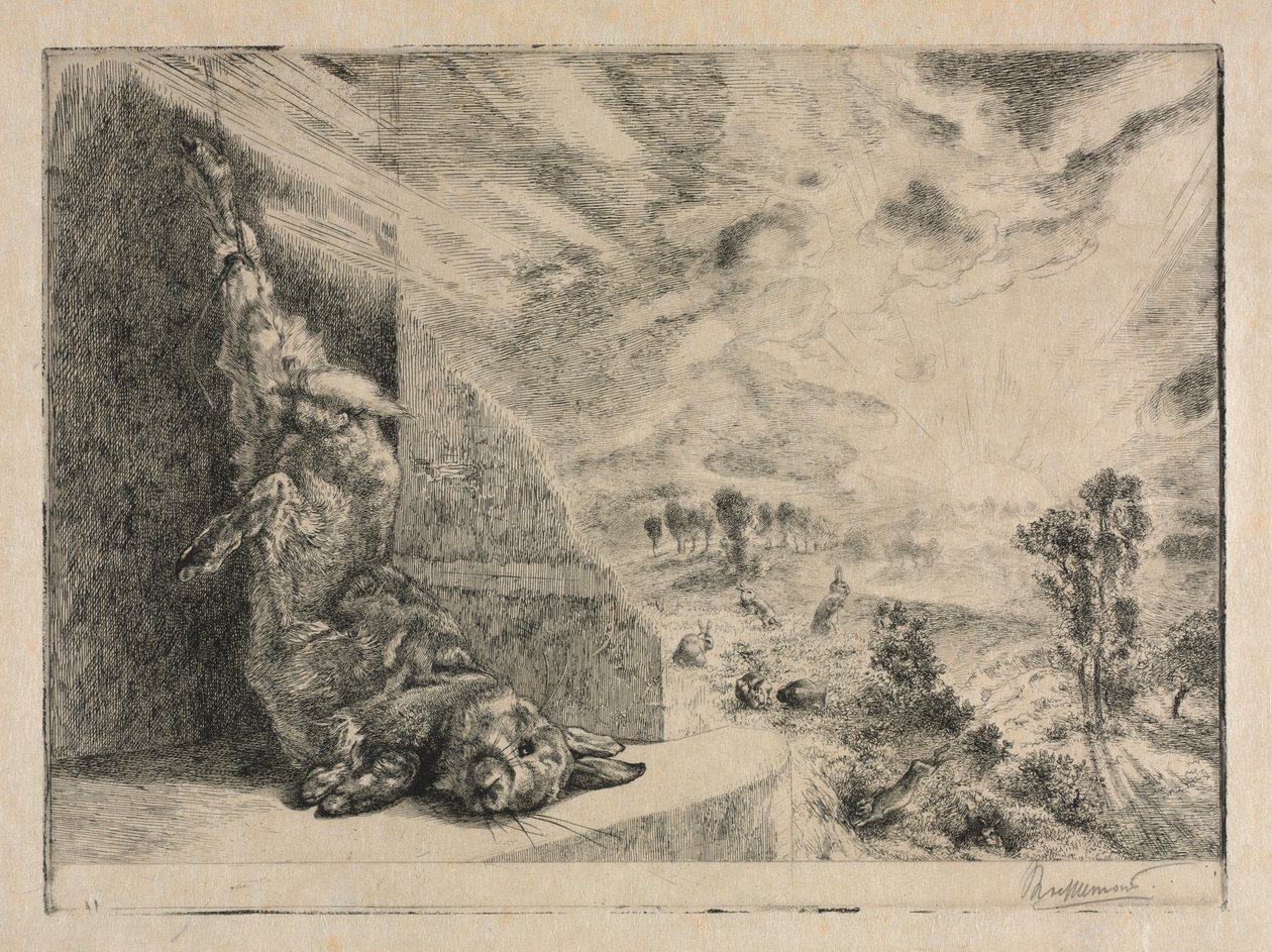 Den vilde kanin af Felix Bracquemond