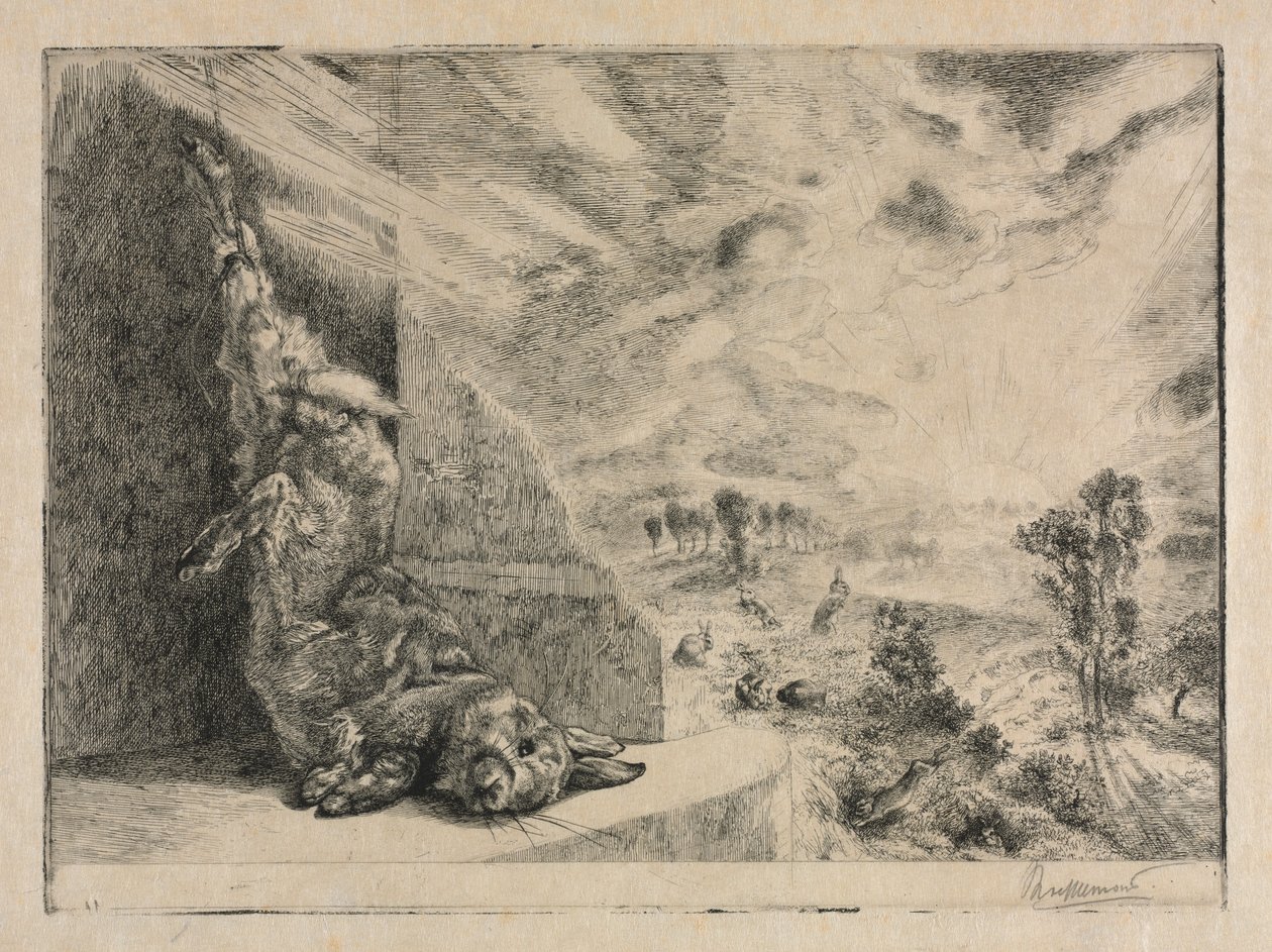 Den vilde kanin, 1891. af Felix Bracquemond