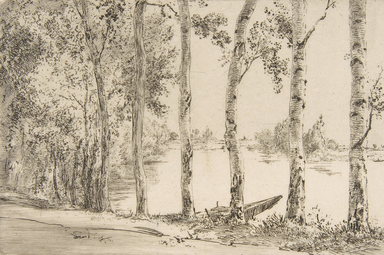 Aspene ved Seinen, ca. 1884. af Felix Bracquemond