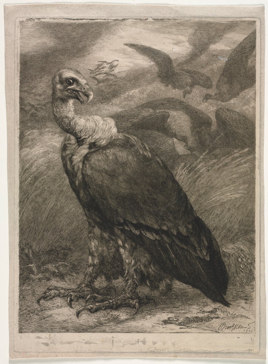 Grib, 1904. af Felix Bracquemond