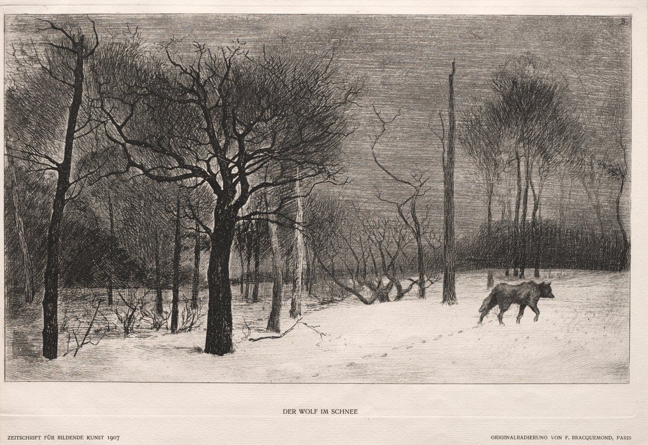 Vinter af Felix Bracquemond