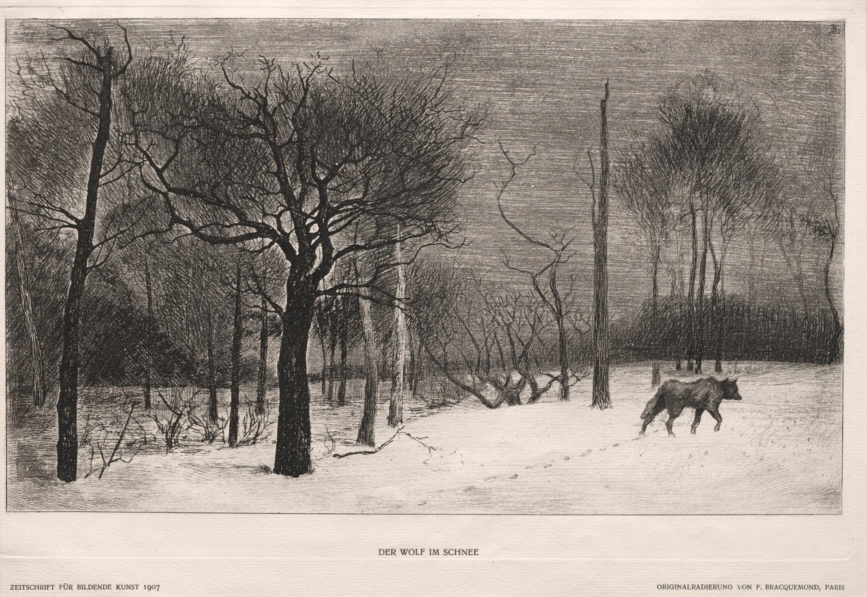 Vinter, 1862. af Felix Bracquemond