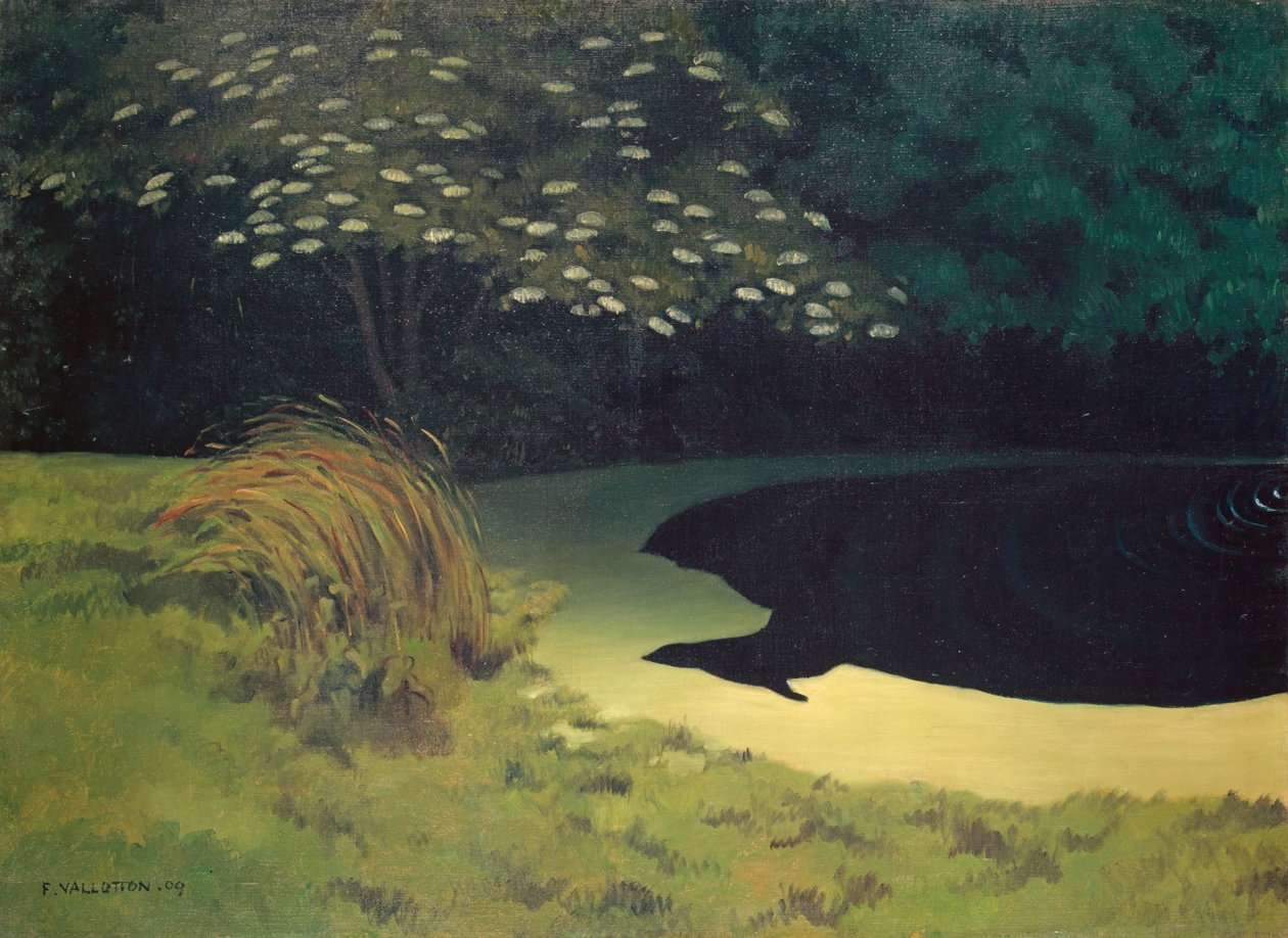 Dammen af Felix Edouard Vallotton