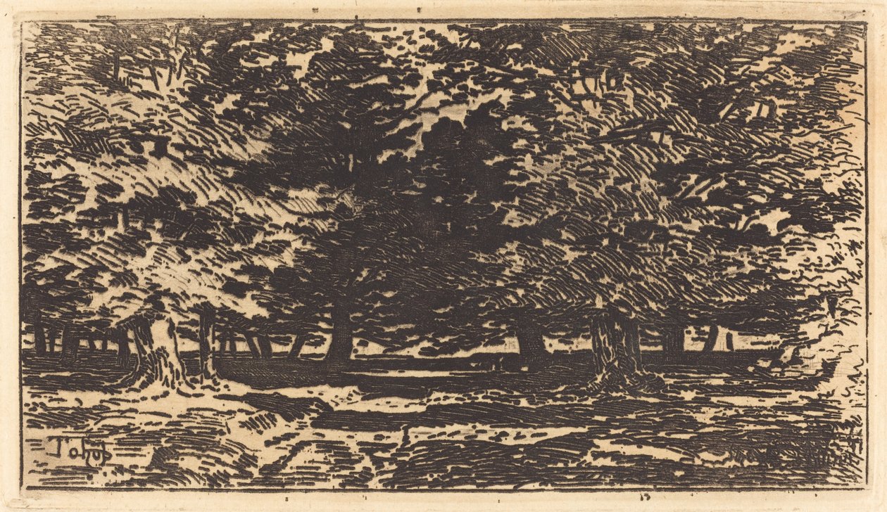 Skov af Felix Hilaire Buhot