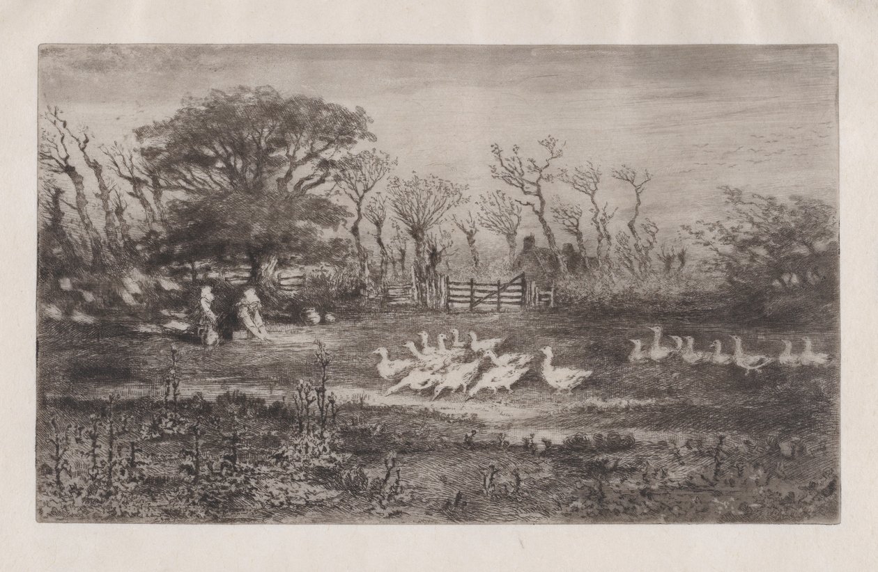 Gæs, 1860-98. af Felix Hilaire Buhot