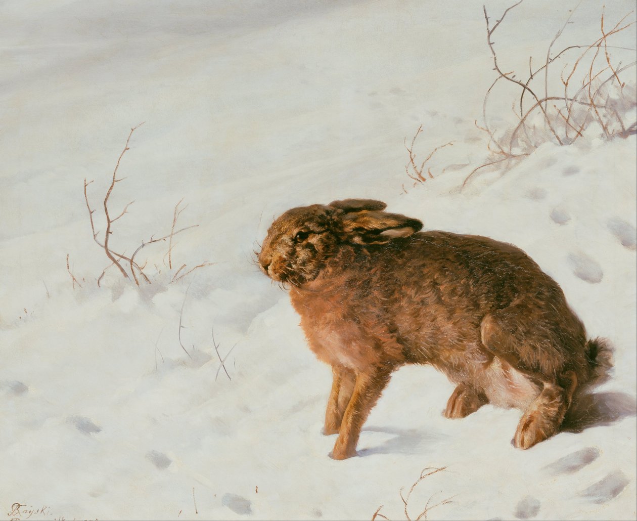 Hare i sneen af Louis Ferdinand von Rayski