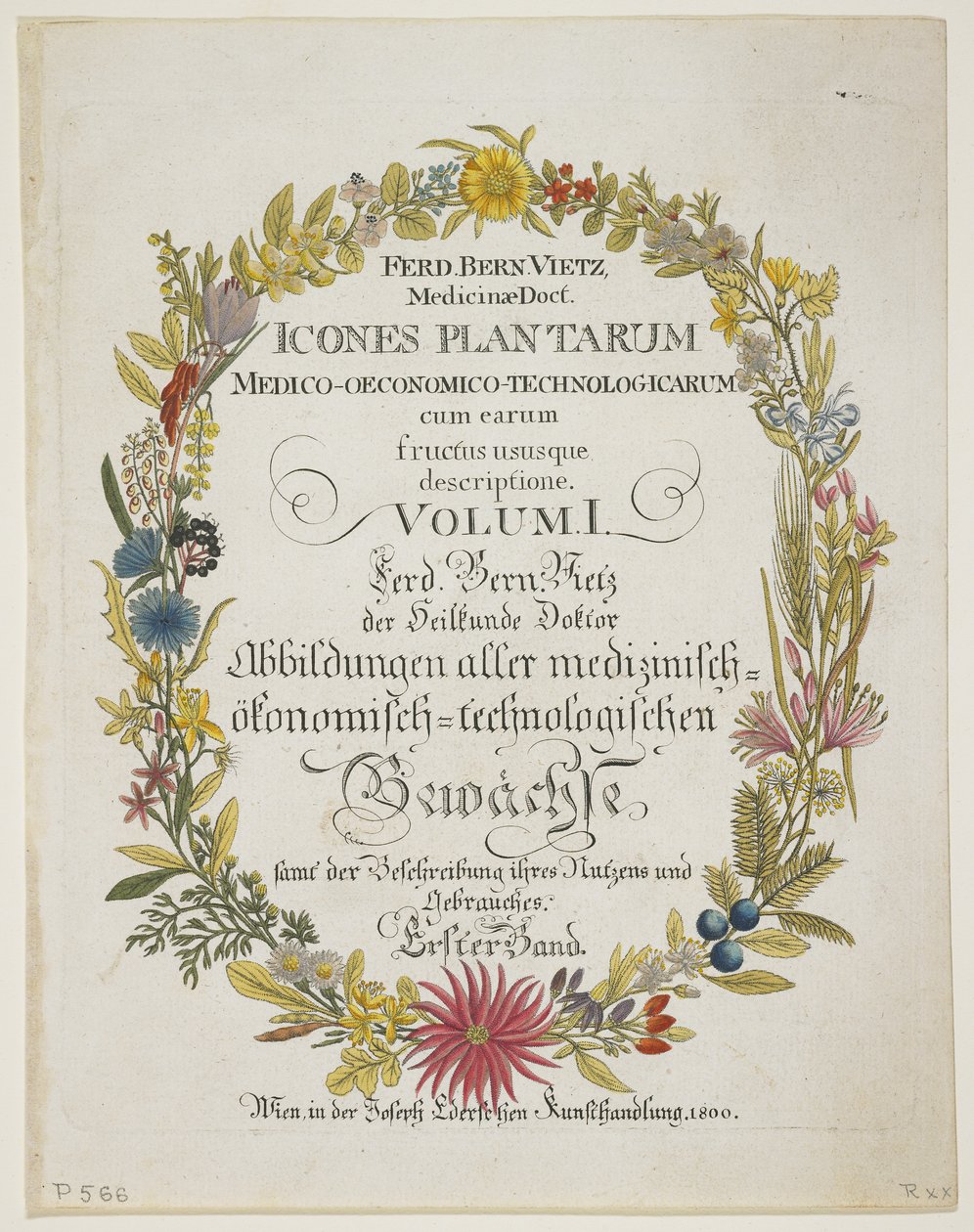 Frontispice og titelblad, bind. I, fra Icons of Plants Medico-Economic-Technology with their fruit and use description, 1800 (håndfarvet gravering) af Ferdinand Bernhard Vietz