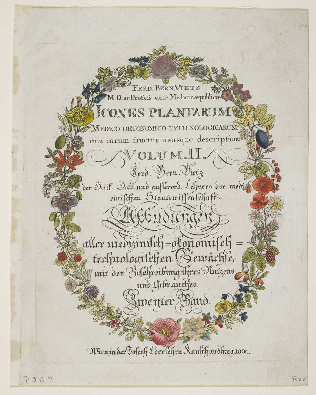 Frontispice og titelblad, bind. II, fra Icons of Plants from Medico-Economic-Technology with their fruit and use description, 1804 (håndfarvet gravering) af Ferdinand Bernhard Vietz
