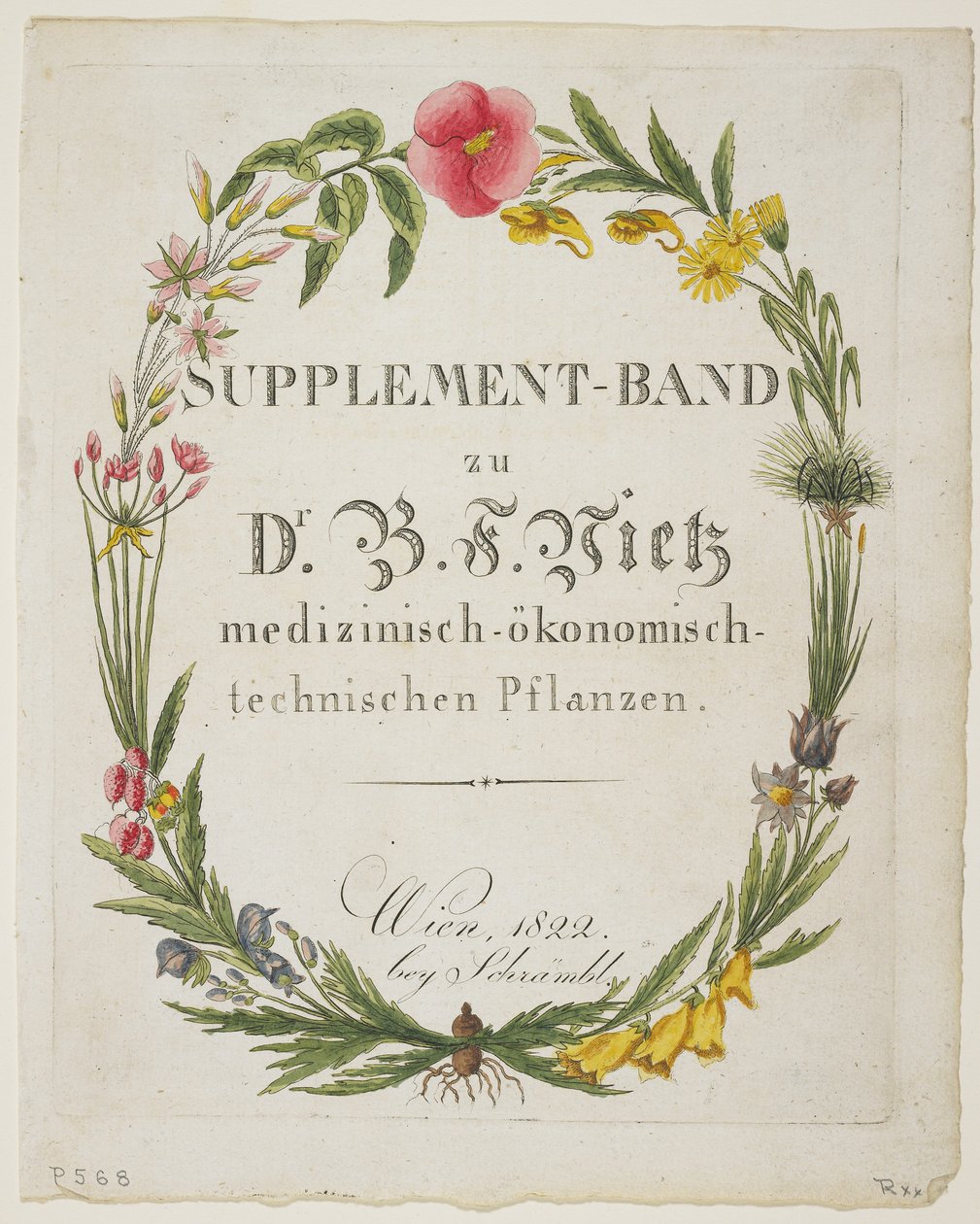 Frontispice og titelblad til Supplement-Band zu Dr. B. F. Vietz medizinisch-okonomisch-technischen Pflanzen, fra Icones Plantarum Medico-Oeconomico-Technologicarum cum Earum Fructus ususque Descrip af Ferdinand Bernhard Vietz