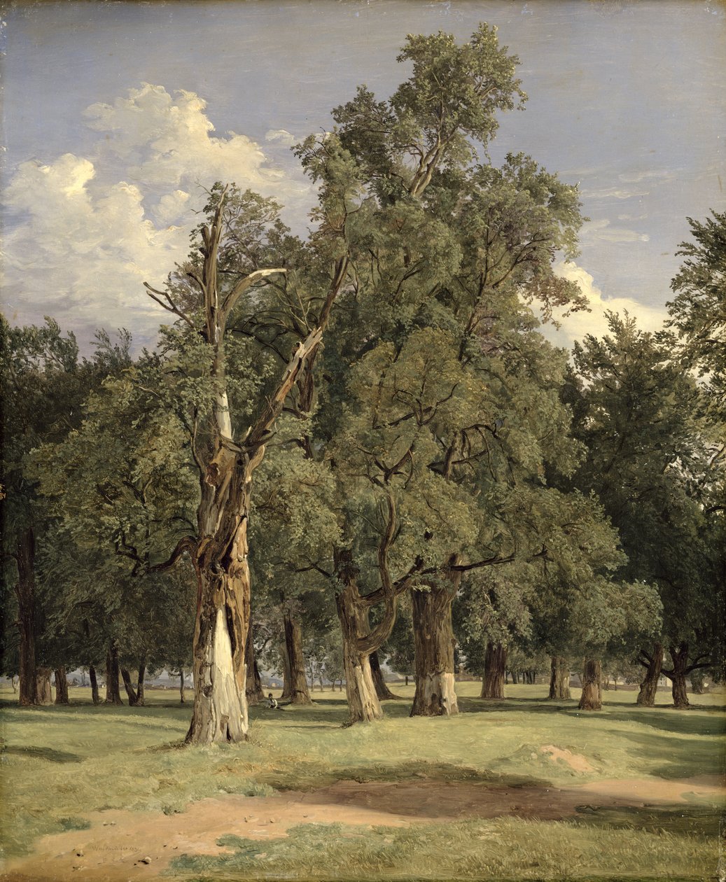 Elmetræer i Prater, 1831 af Ferdinand Georg Waldmuller