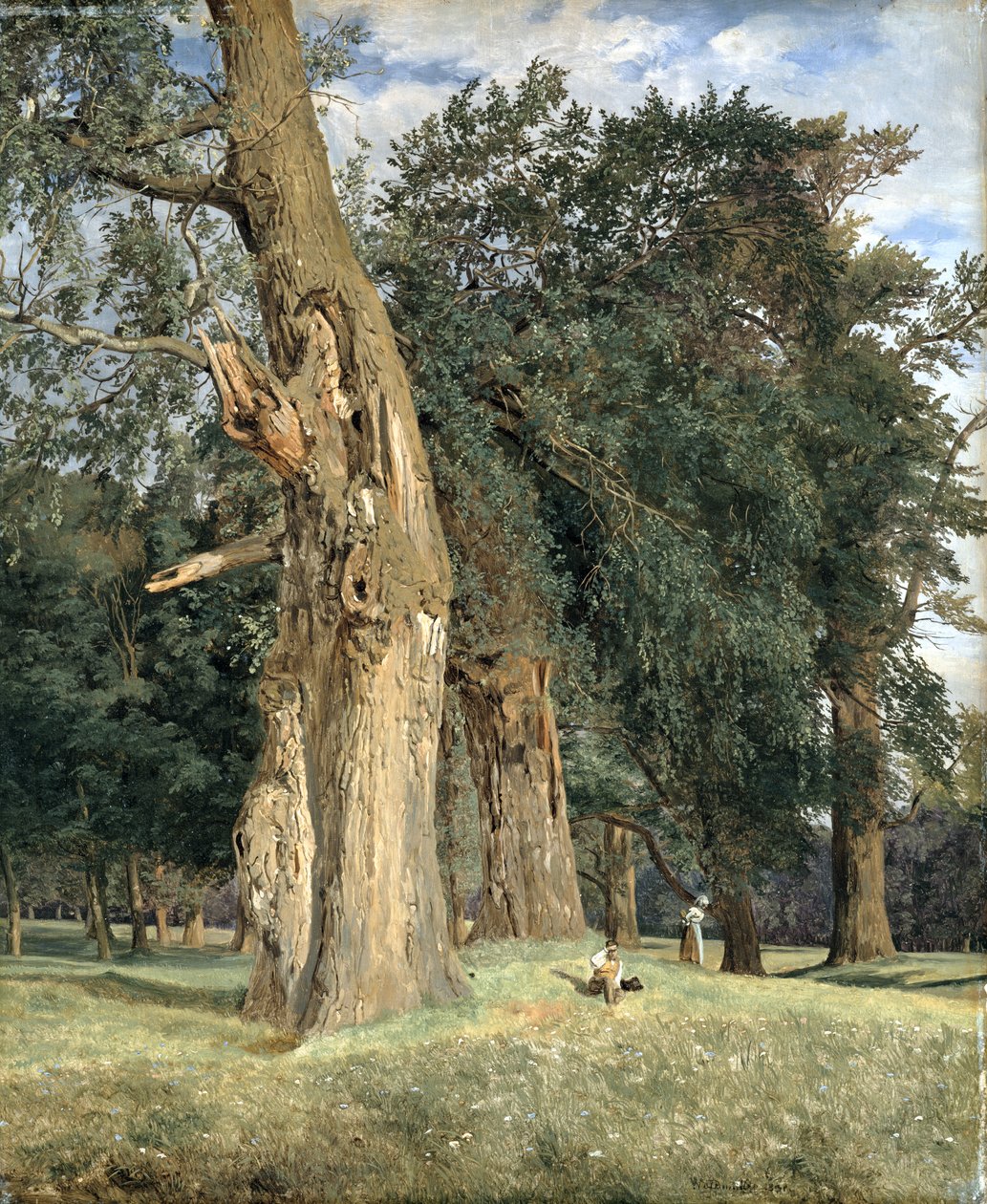 Gamle elme i Prater, 1831 af Ferdinand Georg Waldmuller